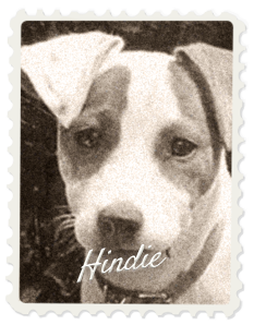 Mascotte